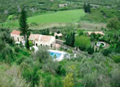 Green Manors