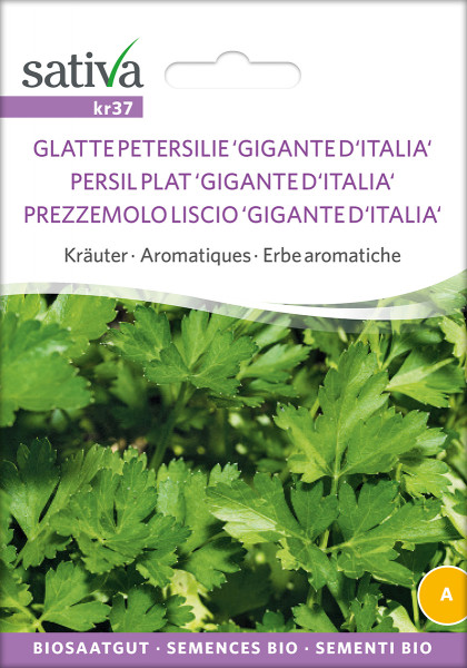 Petersilie, Glatt, GIGANTE D'ITALIA (Biosaatgut)