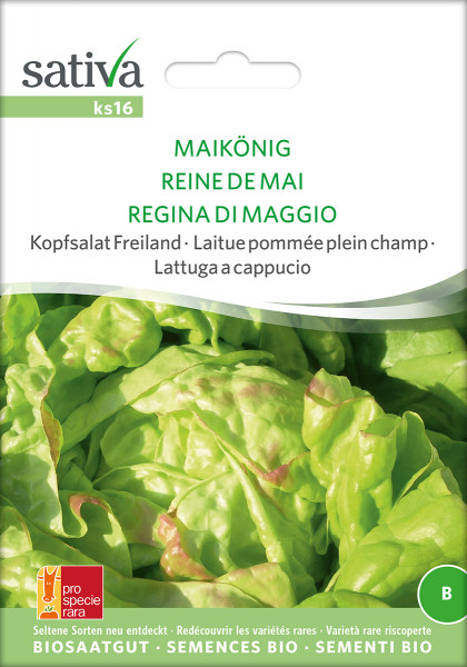 Kopfsalat MAIKÖNIG (demeter Biosaagut)