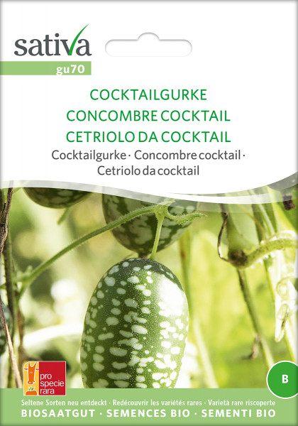 Cocktailgurke (demeter-Biosaatgut /PSR)