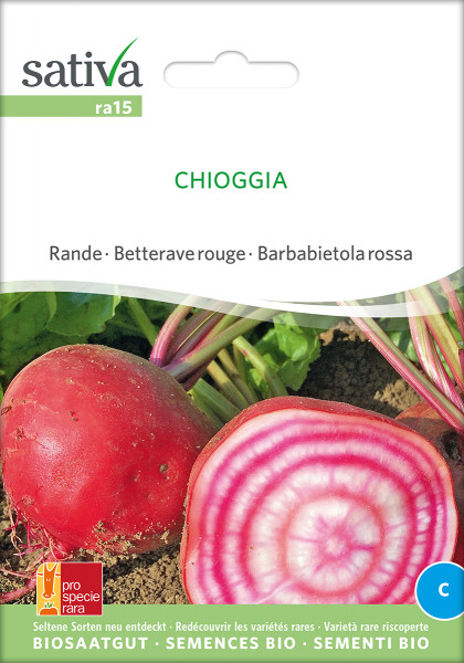 Rote Rüben CHIOGGIA (demeter-Biosaatgut /PSR)