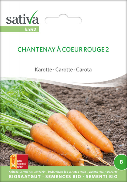 Karotte CHANTENAY À COEUR ROUGE 2 (Bio-Saatgut)