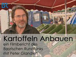 Kartoffeln richtig Anbauen - ein Filmbericht des BR mit Peter Glandien von Tartuffli