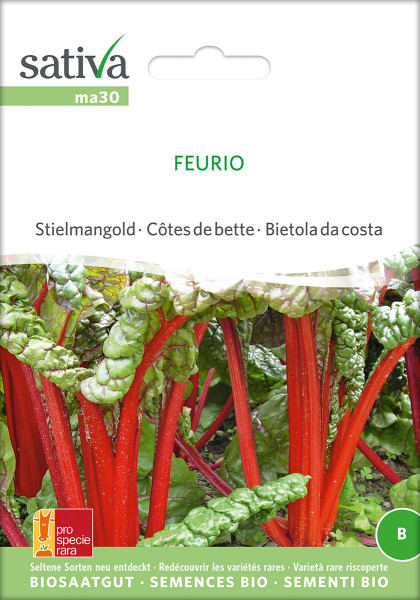 Mangold 'FEURIO' (demeter Biosaagut /PSR)