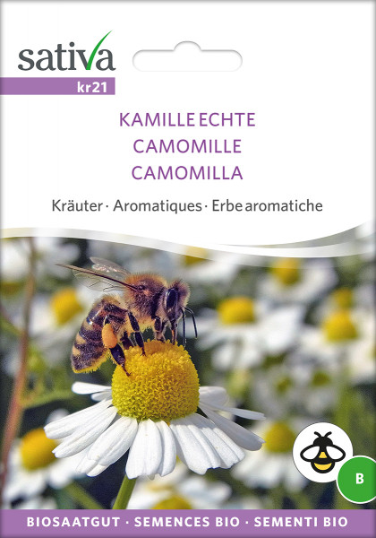 Kamille, echte (Saatgut demeter)