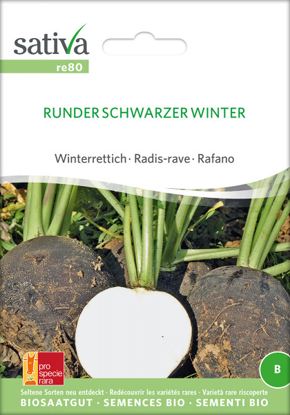 Rettich 'RUNDER SCHWARZER WINTER' (Bio Saatgut)