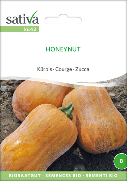 Kürbis HONEYNUT (Bio-Saatgut)