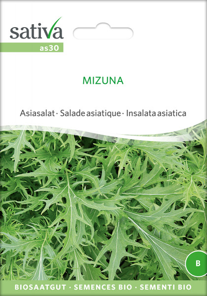 Asia Salat 'MIZUNA' (demeter-Biosaatgut)