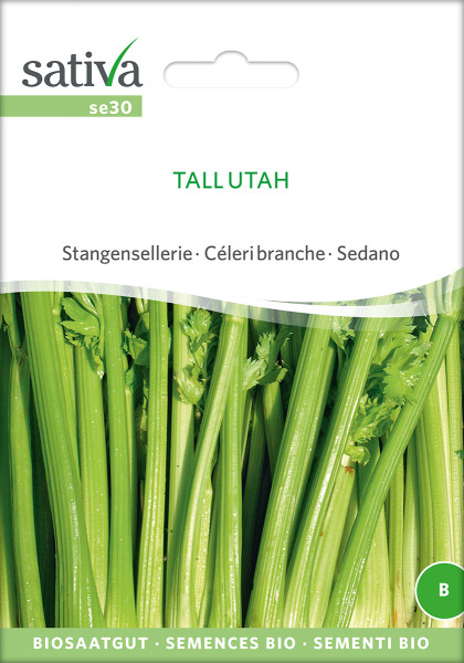 Stangensellerie TALL UTAH (demeter - Biosaatgut)