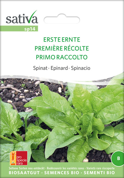 Spinat ERSTE ERNTE (Saatgut - demeter/PSR)