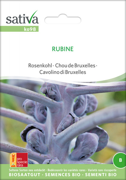 Rosenkohl RUBINE (demeter-Biosaatgut /PSR)