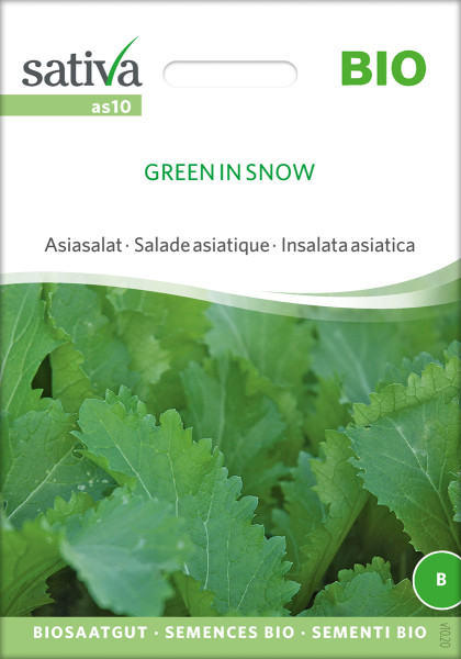 Asiasalat - GREEN In SNOW (bio)