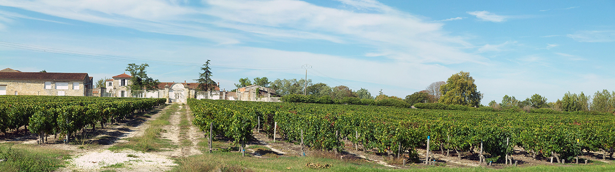 Chateaux Saint Aubin