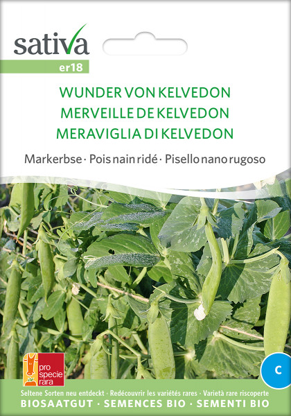 Markerbse 'WUNDER VON KELVEDON' (Bio-Saatgut/PSR)