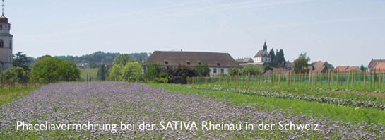 Sativa Rheinau