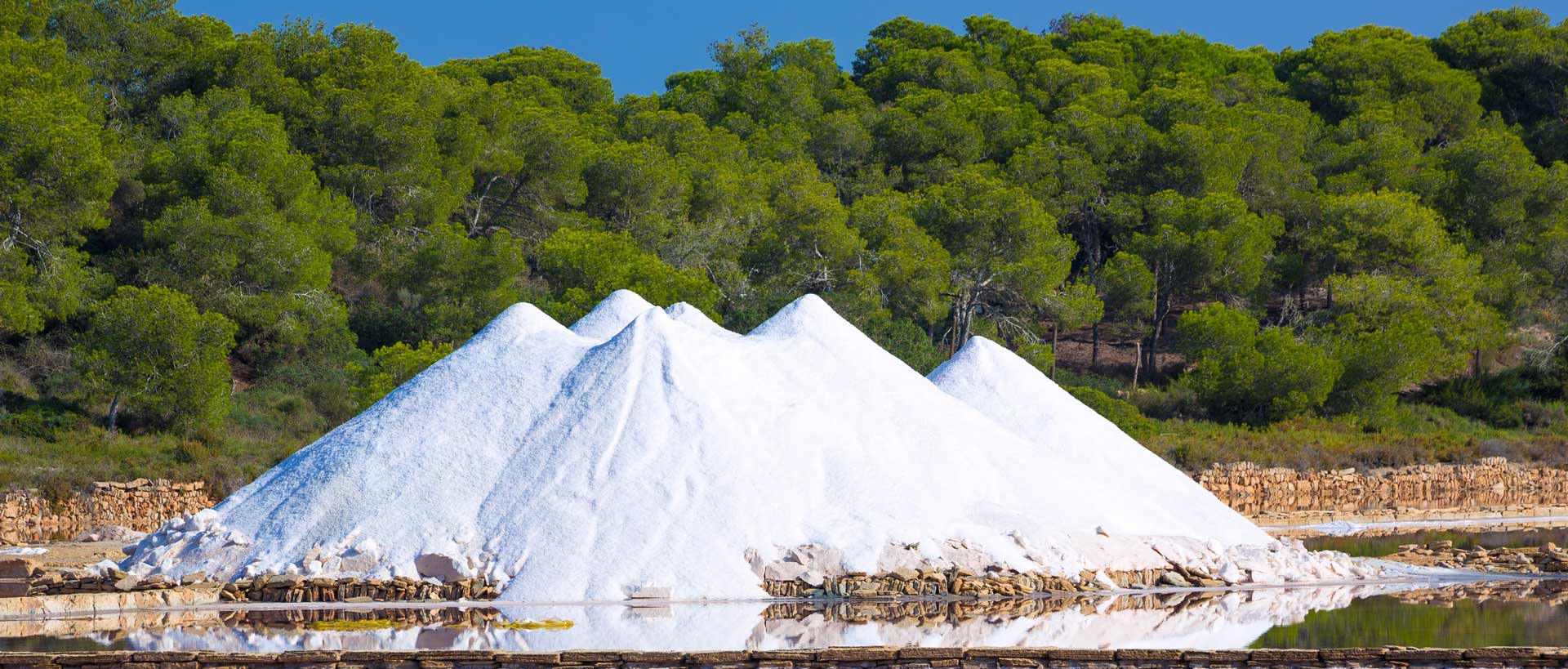 Salinas de Levante S.A.