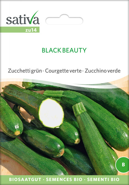 Zucchini BLACK BEAUTY (demeter-Biosaatgut /PSR)