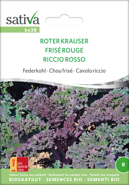 Grünkohl (Federkohl) 'ROTER KRAUSER' (demeter-Biosaatgut/ PSR)