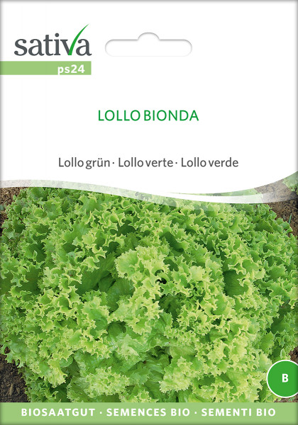 Pflücksalat 'LOLLO BIONDA' (demeter Biosaagut)