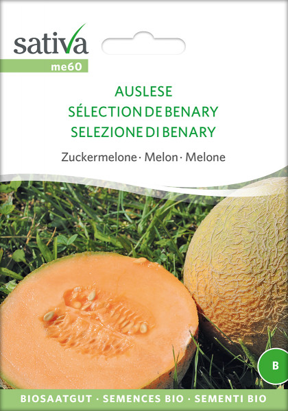 Zuckermelone BENARY'S AUSLESE (demeter - Saatgut)