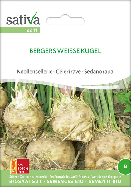 Sellerie BERGERS WEISSE KUGEL (Bio-Saatgut)