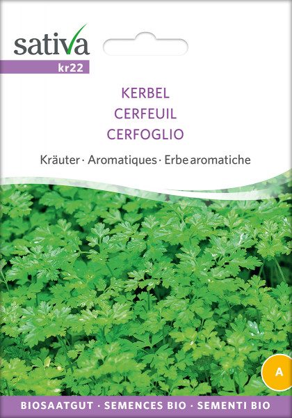 Kerbel (demeter-Biosaatgut)