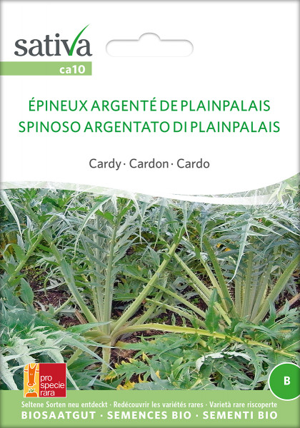 Cardy 'EPINEUX ARGENTE DE PLAINPALAIS' (demeter-Biosaatgut /PSR)