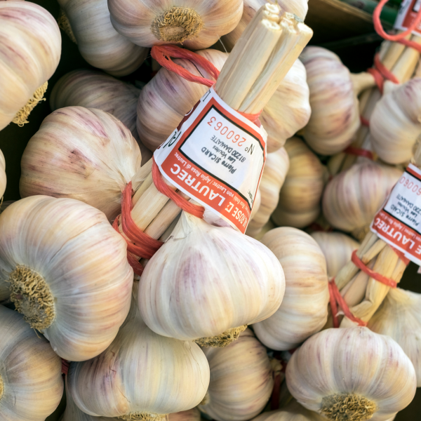 Rosa Knoblauch aus dem Tarn g.g.A. (1kg Traube)