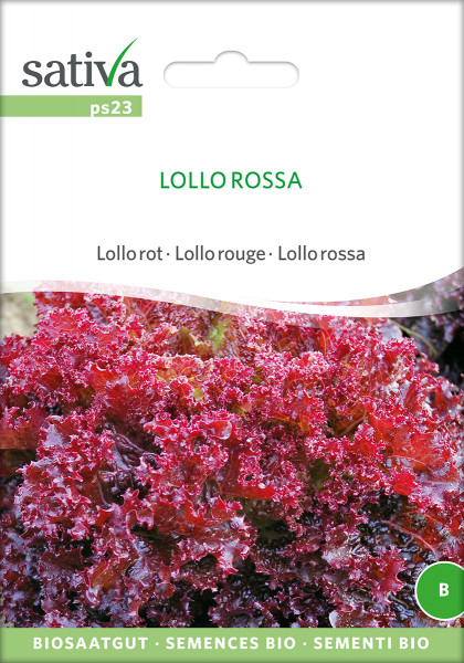 Lollo Rossa,Pflücksalat (Bio-Saatgut)