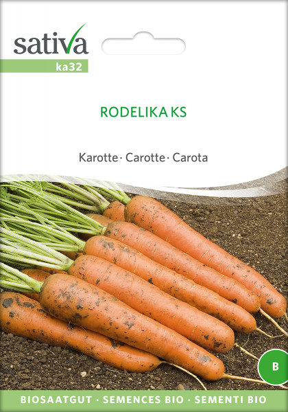 Möhre 'RODELIKA' (Biosaatgut)