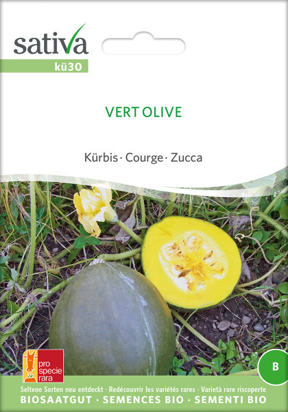 Kürbis VERT OLIVE (Bio-Saatgut)