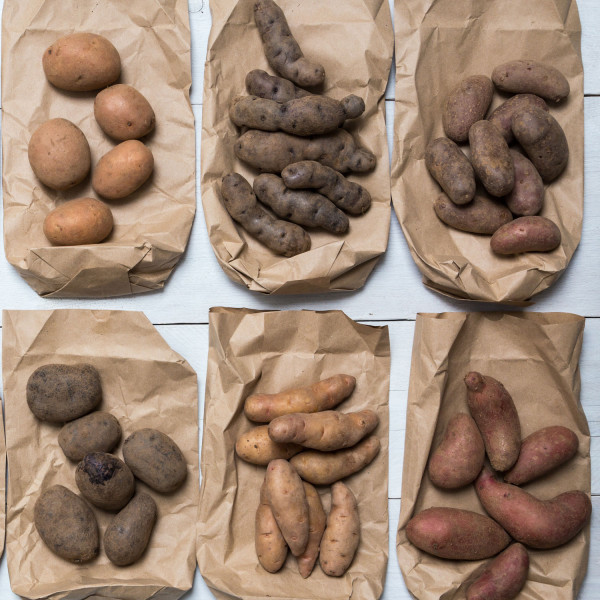 Das 12 x 1 kg Kartoffel-Gartenpaket