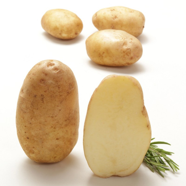 Kartoffelsorte VORAN
