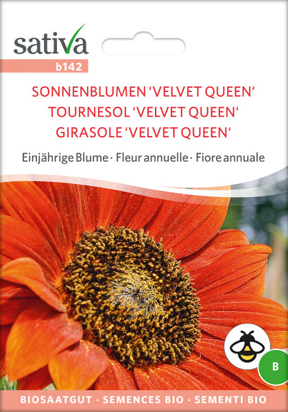 Sonnenblume VELVET QUEEN (mehrblütig) (demeter)