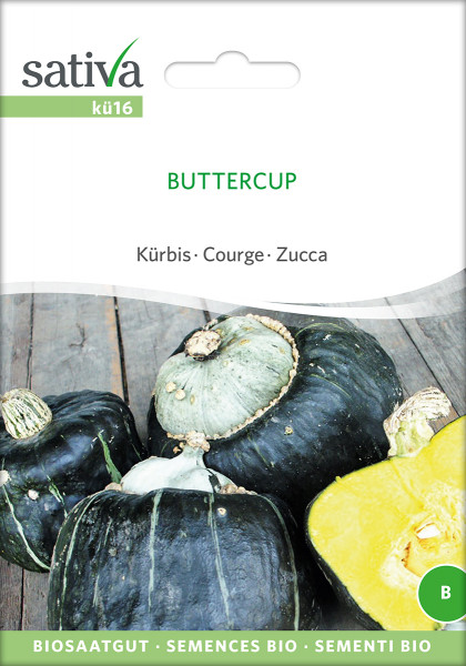 Kürbis 'BUTTERCUP' (Bio-Saatgut)