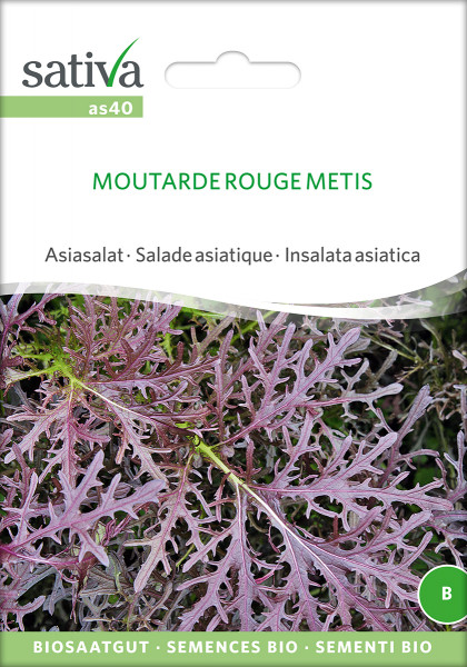 Asiasalat - MOUTARDE ROUGE METIS (Bio-Saatgut)