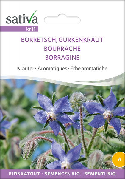 Borretsch, Gurkenkraut (demeter-Biosaatgut)