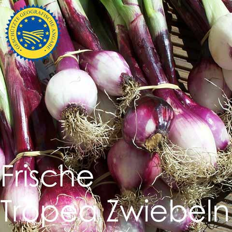 frische Tropea Zwiebeln IGP - Bund 500g - Kalabrien