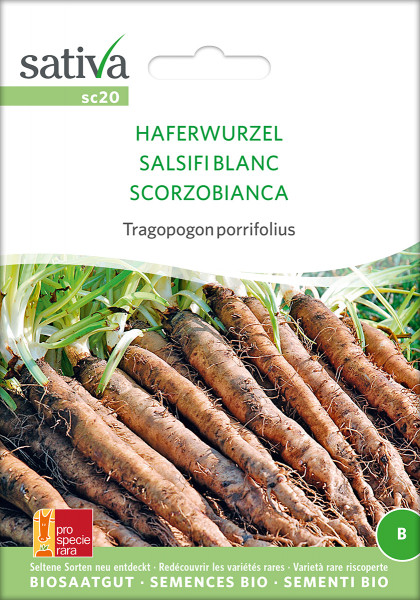 Haferwurzel (Salsifis blanc) (demeter-Biosaatgut /PSR)
