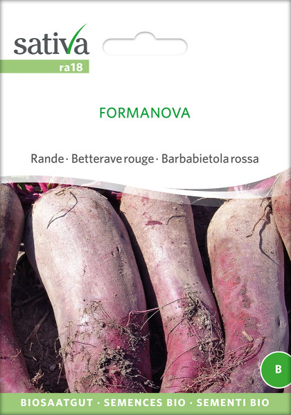 Rote Rüben FORMANOVA (demeter - Biosaatgut)