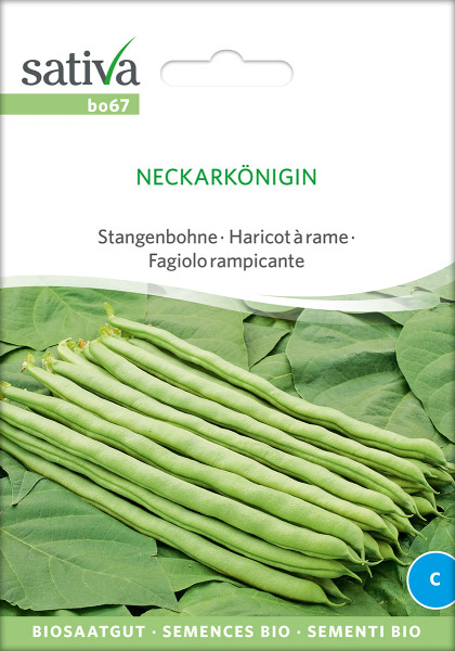 Stangenbohne 'NECKARKÖNIGIN' (Bio-Saatgut)