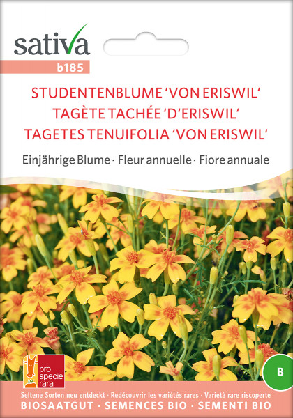 Studentenblume, Tagetes VON ERISWIL (Bio-Saatgut)