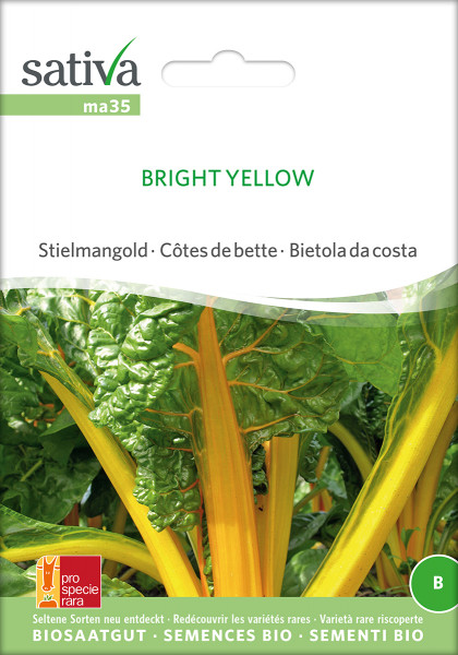 Mangold BRIGHT YELLOW (gelb) (Saatgut demeter/PSR)
