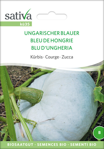 Kürbis UNGARISCHER BLAUER (demeter-Saatgut)