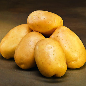 Pflanzkartoffel Solén [mk] (bio) - zertifizierte Saatkartoffeln