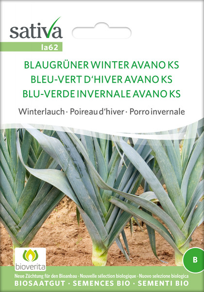 Porree BLAUGRÜNER WINTER - AVANO KS (Saatgut demeter)