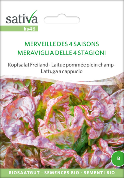 Freilandsalat 'MERVEILLE DES 4 SAISONS' (Biosaatgut)