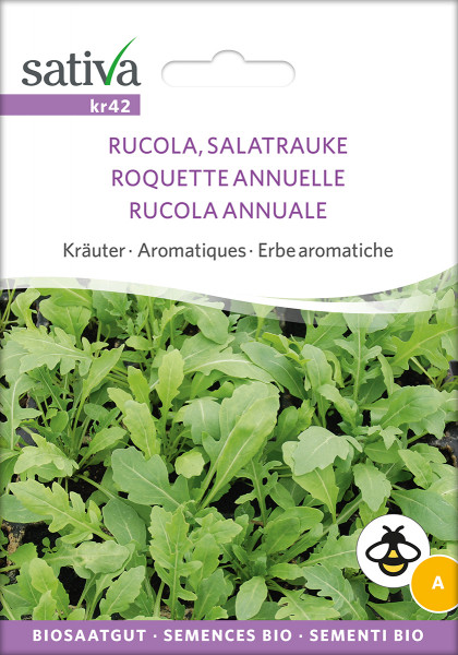 Rucola - Salatrauke einjährig (demeter Biosaagut)