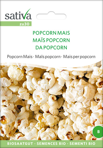 Popcorn Mais (demeter-Bio Saatgut)