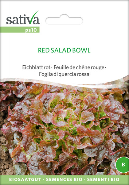 Pflücksalat 'RED SALAD BOWL' (demeter Biosaagut)